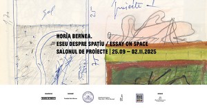https://www.salonuldeproiecte.ro/files/gimgs/th-14_horiabernea_v2.jpg